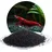 Schicker Mineral Aquarienkies schwarz 25 kg