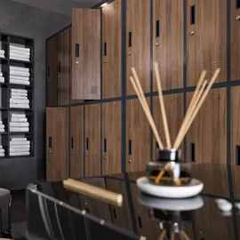 Jan Nowak Spindschrank Bartek B x T) (Anthrazit-Holzoptik)