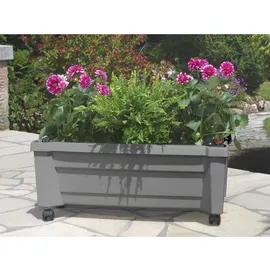 KHW Calypso Pflanzkasten 79 x 35 x 33 cm Grau