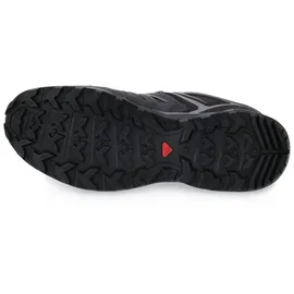 Salomon X Ultra Pioneer Gore-Tex Herren Phantom / Black / Quiet Shade 44