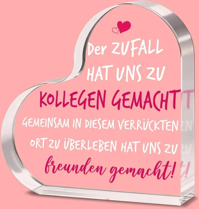 Alphynix 1 Stück Herz-Plakette „Der Zufall hat uns zu Kollegen gemacht - Gemeinsam in diesem verrückten Ort zu überleben, hat uns zu Freunden gemacht!“, Geschenk aus Acryl mit pinken Herzen, Büro-Freundschaft-Erinnerungsstück