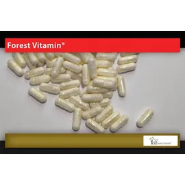 Forest Vitamin Bor + Inulin Kapseln 100 St.
