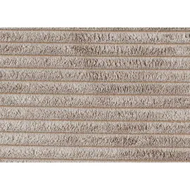 SUN GARDEN Carryhome Schlafsofa, Grau, 2-Sitzer, Füllung: Polyester, Schaumstoffflocken,Polyester, Schaumstoffflocken, 199x95x97 cm, Schlafen auf Sitzhöhe, Wohnzimmer, Sofas & Couches, Schlafsofas, Schlafsofas mit Bettkasten