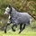 Horseware Amigo Bravo 12 Reflectech Plus 100g - Grey/Reflective 140