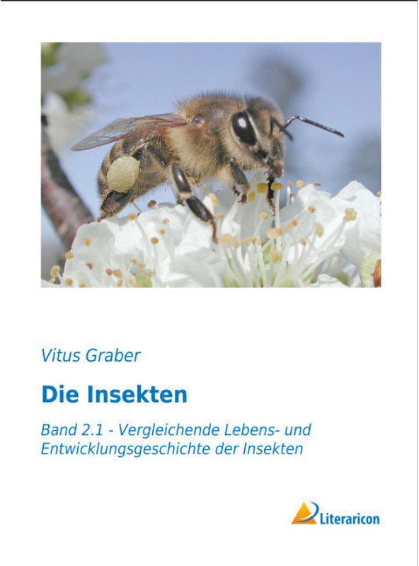 Die Insekten - Vitus Graber, Kartoniert (TB)
