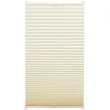 GARDINIA Thermo-Plissee EasyFix 50 x 130 cm Elfenbein