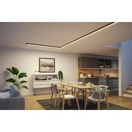 Paulmann Einspeisung Power Channel 17 W Aluminium schwarz