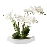 Hollyone Orchideen Künstlich, Künstliche Orchideen im Topf, Orchideen Künstlich Wie Echt, Künstliche Phalaenopsis Bonsai im Keramiktopf, für Wohnzimmer Badezimmer Deko, Weiß