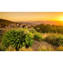 Fototapete PAPERMOON "Landschaft", bunt, B:3,50m L:2,60m, Vlies, Tapeten
