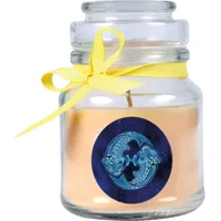 HS Candle Sternzeichen Duftkerze 120 g Vanille