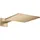 Hansgrohe Kopfbrause 300/300 2jet (35318140)