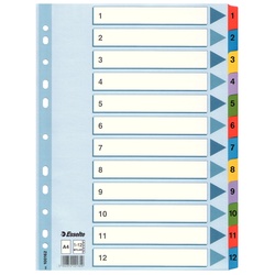 Esselte Register 100162 1-12 DIN A4 Mylar weiß