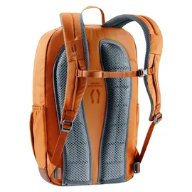 Deuter Gogo 25 l chestnut/umbra