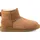 Chestnut 41