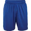 Kappa Shorts Shorts blau L