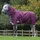 Weatherbeeta Comfitec Plus Dynamic II Detach-A-Neck Medium/Lite 100g - maroon/grey/white, 95