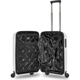 pactastic Collection 02 THE CABIN 4-Rollen 55 cm / 39 l silber/metallic
