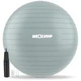 NEOLYMP Gymnastikball Blau 55 cm