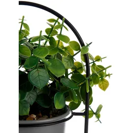 ibergarden Künstliche Pflanze in mehrfarben | Gr.: onesize