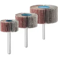 pferd tools PFERD 44498032 Fächerschleifwerkzeuge SET F 3015/4020/6030 A 80 1 Set