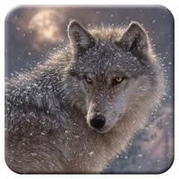 3D LiveLife Kork Matte - Einsamer Wolf von Deluxebase. Linsenförmige-3D-Kork Wolf Untersetzer. rutschfeste Getränkematte mit Originalkunstwerk lizenziert vom bekannt Künstler Collin Bogle