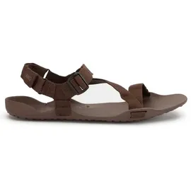 Xero Shoes Z-Trek II Herren Braun 43
