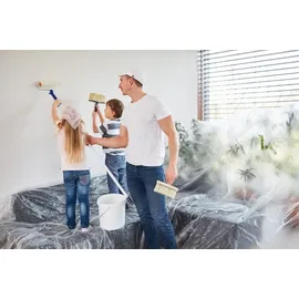 Color Expert Abdeckplane HDPE transparent 4 x 5 m