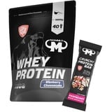 1kg Mammut Whey Protein Eiweißshake - Set inkl. Protein Shaker, Riegel, Powderbank oder Tasse (Blueberry Cheesecake, Mammut Protein Bar - Raspberry)