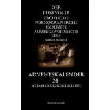 Independently published Der lustvolle erotische pornographische explizite aussergewöhnliche geile verdorbene Adventskalender: 24 scharfe Kurzgeschichten