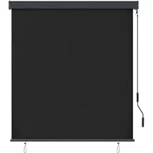 vidaXL Außenrollo 140x250 cm Anthrazit
