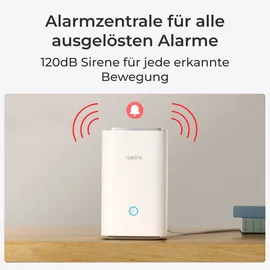 Reolink D340B + Hub 1