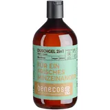 benecos Duschgel 2in1 Minze 500ml