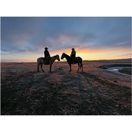 GoPro MISSION 1