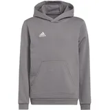 Adidas Unisex Kinder Entrada 22 Sweat Hoodie, Team Grey Four, 140