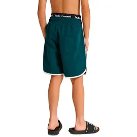 hummel Regular Long Board Kurze Hose | June Bug - 122
