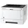 Kyocera Ecosys P2040dw