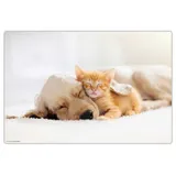 cover-your-desk Schreibtischunterlage für Kinder und Erwachsene Freundschaft zwischen Katze und Hund, aus hochwertigem Vinyl , 60 x 40 cm