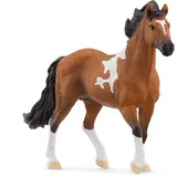 Schleich Horse Club - Mangalarga Marchador Hengst (13978)