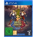 Double Dragon Gaiden Rise of the Dragons