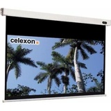 Celexon Motor Professional 220x124 16:9