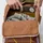 Fjällräven Kånken Koncept 16 l khaki/dust-kantarell