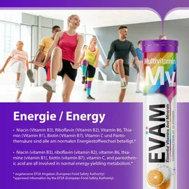 callaghan international EVÄM Multivitamin Brausetabletten 2x 20 Stück