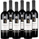 Bertoldi Merlot Barrique Veneto IGT "Bertoldi" Rotwein Venetien trocken (6 x 0.75l)