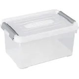 Curver Aufbewahrungsbox HANDY 29,4 x 19,4 x 15 cm 1-tlg. transparent, silber
