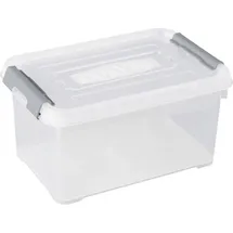 Curver Aufbewahrungsbox HANDY 29,4 x 19,4 x 15 cm 1-tlg. transparent, silber