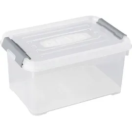 Curver Aufbewahrungsbox HANDY 29,4 x 19,4 x 15 cm 1-tlg. transparent, silber