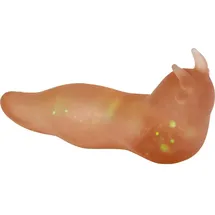 Coppenrath Verlag Space-Schnecke Wild+Cool