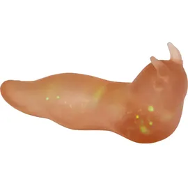 Coppenrath Verlag Space-Schnecke Wild+Cool