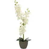 artplants.de Phalaenopsis Orchidee künstlich Katalin, Dekotopf, Creme, 80cm - Kunstorchidee