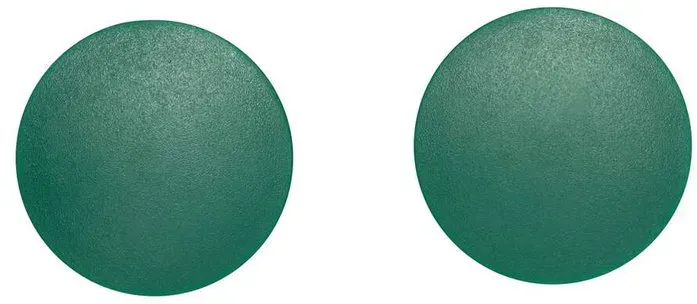 Magnet MAULsolid Ø 38 mm, 2,5 kg, 2 St.